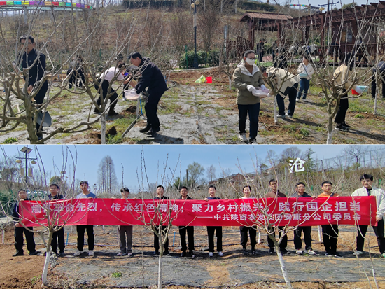 新建 PPTX 演示文稿(1).png