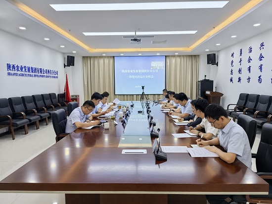 照片-西安分公司召开一季度经济运行分析会 - 副本.jpeg