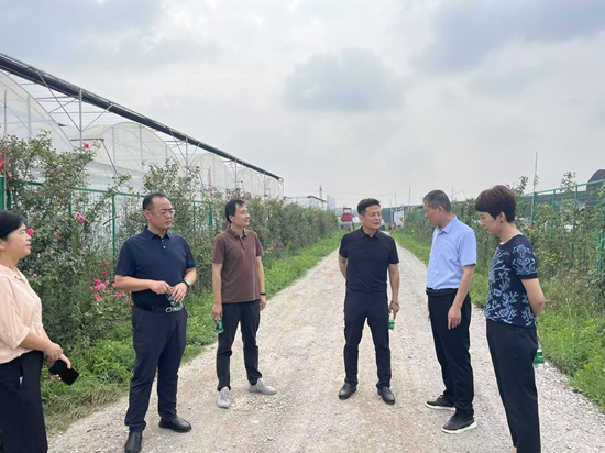 webwxgetmsgimg (1).jpg