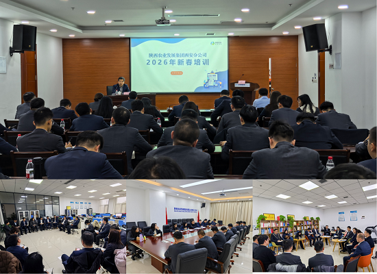 图片1 - 副本.png