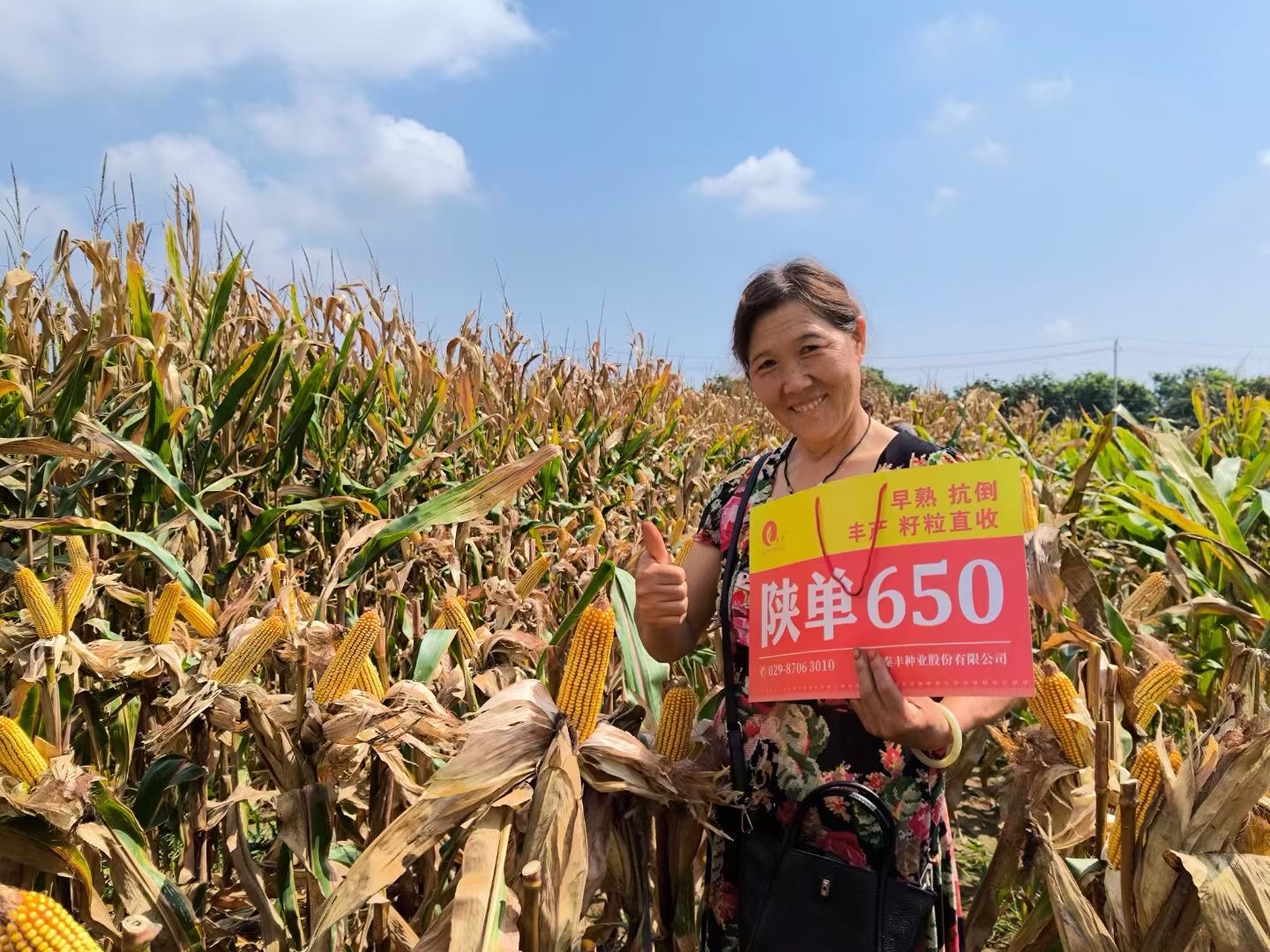 微信图片_20230913152744.jpg
